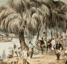 Joshua McClelland Print Room - Accommodation Gladstone