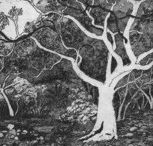 Tacit Contemporary Art - Accommodation Gladstone