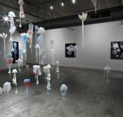 Nellie Castan Gallery - Accommodation Gladstone