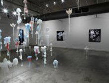 Nellie Castan Gallery - Accommodation Gladstone 0