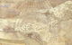 Scott Livesey Galleries - thumb 3