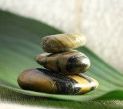 The Nature Of Balance - Accommodation Gladstone 0