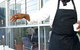 Darebin Arts & Entertainment Centre - thumb 1