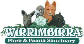 Wirrimbirra Sanctuary - Accommodation Gladstone 0