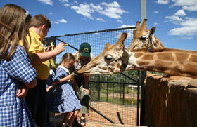 National Zoo & Aquarium - Accommodation Gladstone 2