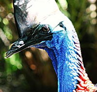 Alma Park Zoo - Accommodation Gladstone
