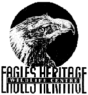 Eagles Heritage - Accommodation Gladstone