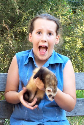 Peel Zoo - Accommodation Gladstone 1