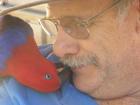 Peel Zoo - Accommodation Gladstone 3