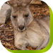 Calmsley Hill City Farm - Accommodation Gladstone 0