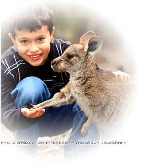 Australia Walkabout Wildlife Park - Accommodation Gladstone 1
