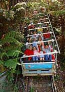 Scenic World Blue Mountains - Accommodation Gladstone 2
