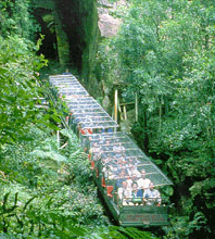 Scenic World Blue Mountains - Accommodation Gladstone 3