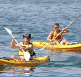 Manly Kayaks - Accommodation Gladstone