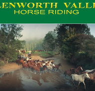 Glenworth Valley Horseriding - Accommodation Gladstone