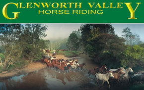 Glenworth Valley Horseriding - Accommodation Gladstone 0