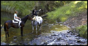 Glenworth Valley Horseriding - Accommodation Gladstone 1