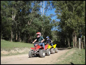 Glenworth Valley Horseriding - Accommodation Gladstone 3