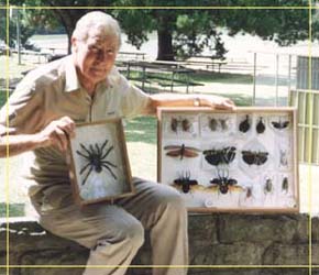 Butterfly Farm - Accommodation Gladstone 1
