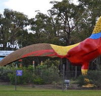 Gumbuya Park - Accommodation Gladstone