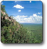 Kakadu National Park - Accommodation Gladstone 2
