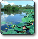 Kakadu National Park - Accommodation Gladstone 3