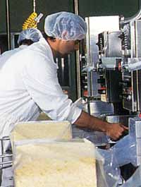 Allansford Cheese World - Accommodation Gladstone 1