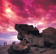 Kangaroo Island Adventure Tour 2 day/1 night - Accommodation Gladstone