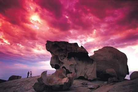 Kangaroo Island Adventure Tour 2 Day/1 Night - Accommodation Gladstone 0