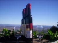 Mount Tamborine Winery & Homestead - Accommodation Gladstone 0