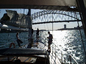 Kalypso Cruises - Accommodation Gladstone 2