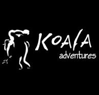 Koala Adventures - Accommodation Gladstone