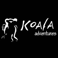 Koala Adventures - Accommodation Gladstone 0