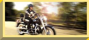 Easy Rider - Accommodation Gladstone 1