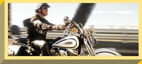 Easy Rider - Accommodation Gladstone 2