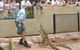 Symbio Wildlife Gardens - thumb 3