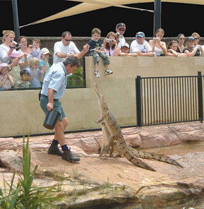 Symbio Wildlife Gardens - Accommodation Gladstone 3