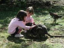 Urimbirra Wildlife Park - Accommodation Gladstone 1