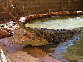 North West WA Accommodation Gladstone
