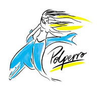 Polperro Dolphin Swims - Accommodation Gladstone 0