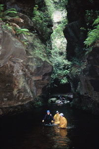 High And Wild Mountain Adventures - Accommodation Gladstone 1
