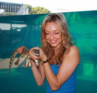 Crocosaurus Cove - Accommodation Gladstone