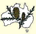 Australian National Botanic Gardens - Accommodation Gladstone