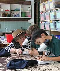 Australian National Botanic Gardens - Accommodation Gladstone 2