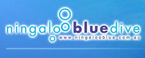 Ningaloo Blue Dive - Accommodation Gladstone 0