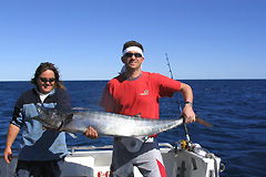 Ningaloo Blue Dive - Accommodation Gladstone 3