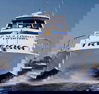 Sunshine Coast Fishing Charters - Accommodation Gladstone