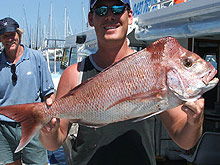 Sunshine Coast Fishing Charters - Accommodation Gladstone 2