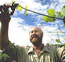 Barossa Experience Tours - Accommodation Gladstone