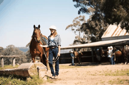 Watsons Trail Rides - Accommodation Gladstone